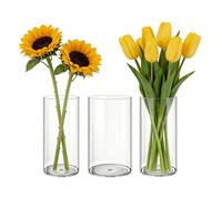 MELEJIA Set de 3 Jarrones de Acrílico, Jarrones Transparente Redondo, Vaso Ligero y Resistente, Jarrón de Plástico Irrompible para Flores y Decoración del Hogar, (10cmx20cm, 12cmx20cm & 15cmx20cm)