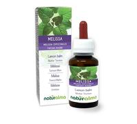 Melisa o Toronjil (Melissa officinalis) hojas Tintura Madre sin alcohol Naturalma - Extracto líquido gotas 60 ml - Complemento alimenticio - Vegano