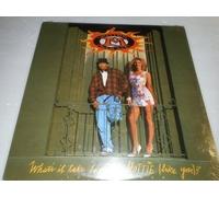 Mellow Man Ace - Whats It Take to Pull a Hottie [Vinilo]