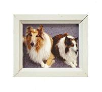 Melody Jane Dolls House 2 Collie Dogs Pintura Cuadro Blanco Marco Miniatura 1:12 Accesorio