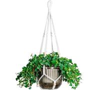 Melphoe 1 paquete de macetas colgantes de riego automático para interiores, cesta colgante de 8.3 pulgadas, cesta colgante para plantas al aire libre, con colgador adicional de macramé de 35 pulgadas