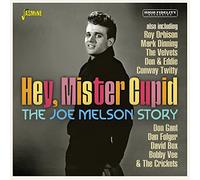 Melson,Joe - Hey, Mister Cupid - The Joe Melson Story