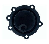 Membrana Calentador Beretta Fonte 11ae Ccb81617 7720349 Ccreab81617