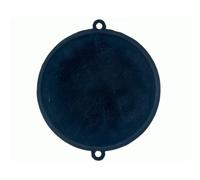 Membrana Calentador Vaillant Orbegozo 10 Litros