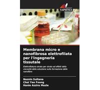 Membrana micro e nanofibrosa elettrofilata per l'ingegneria tissutale: Elettrofilatura strato per strato ed effetti della viscosità della soluzione sulla formazione delle nanofibre