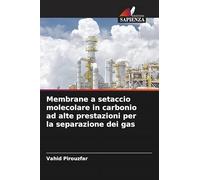 Membrane a setaccio molecolare in carbonio ad alte prestazioni per la separazione dei gas