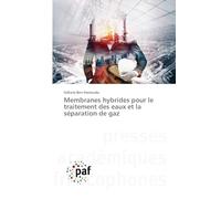Membranes hybrides pour le traitement des eaux et la séparation de gaz
