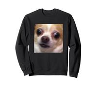 Meme De Foto De Perro Borroso Chihuahua Sorprendido Divertido Sudadera