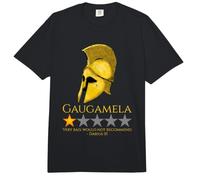 Meme de Historia Griega Antigua - Gaugamela - Alejandro Magno Comfort Colors Adult Heavyweight T-Shirt