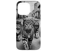 Meme Divertido de Gang of Feral Street Cats 90 Carcasa para iPhone 15 Pro MAX
