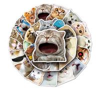 Meme sticker katzen pegatinas memes pegatinas gato pegatina estéticas cosas gatos adhesivos lindas stickers coches gatos set stickers para adultos adhesivos