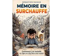 Mémoire en Surchauffe: Comment j'ai installé un tigre en slip dans mon couloir et autres ruses scientifiques pour muscler sa mémoire.