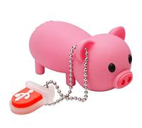 Memoria USB 32GB con Modelo Lindo Cerdo Rosa, Unidad Flash USB Memory Stick Regalo para Estudiantes y Niños