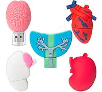 Memoria USB 8GB*5 Pendrive USB Silicona Impermeable Flash Drive Memorias Regalo para Niños Estudiante (8GB*5, Órganos Humanos)