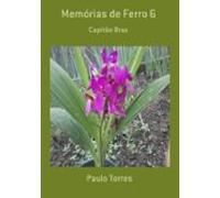 Memórias De Ferro 6 (ebook)