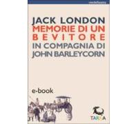 Memorie Di Un Bevitore (ebook)