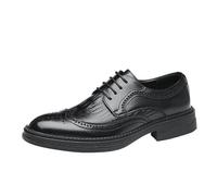 Men’s Fashionable Lace-Up Leather Dress Shoes Pointed Toe Classic All-Match Wedding & Business Shoes(Noir,41 EU)