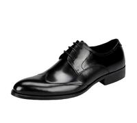 Men’s Italian-Style Lace-Up PU Leather Formal Shoes Pointed Toe Wedding Prom Tuxedo Dress Shoes Comfortable & Stylish(39 EU)