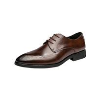 Men’s Pointed Toe Lace-Up Leather Oxford Shoes Business & Casual Dress Shoes for Office Wedding Party(Brown,38 EU)