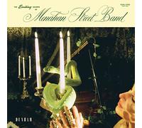 Menahan Street Band - The Exciting Sounds Of Menahan Street Band