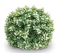 Mendler Busch HWC-L77 - Bola de boj artificial (35 cm de diámetro), color blanco