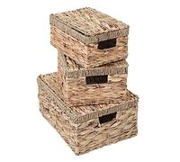 Mendler Juego de 3 Caja HWC de C23, Baúl Caja Caja con Tapa, Jacinto de Agua Color Natural