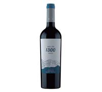 Mendoza Andeluna 1300 Malbec 2024