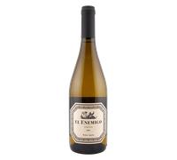 Mendoza El Enemigo Chenin 2022