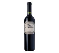 Mendoza El Enemigo Malbec 2023