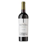 Séptima Malbec Vino tinto 100% Malbec 75 cl (2022)