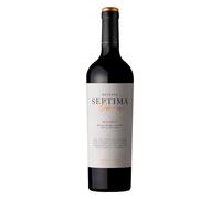Mendoza Séptima Obra Malbec Reserva 2024