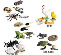 MENDUNER Juego de Juguetes con Modelo de Animal Realista, Herramienta de Aprendizaje Educativo para Observación y Exploración, para Contar Historias y Actividades de Juegos de Roles (verde1)