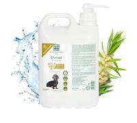 Menforsan Champú - Garrafa 5 litros - Perros con árbol de te, Champú Anti picores, Calma la Piel
