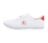 Meng Zapatos de Taewondo de Artes Marciales, Deportes Unisex Transpirables Karate Kung Fu Tai Chi Zapatos for niños Adolescentes Adultos (Color : White, Size : 40)