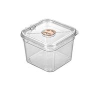 MENGLI-2024 Acuario de Peces Mini pecera de acrílico Transparente con Tapa, Cuadrada pequeña, 15 x 11,5 cm