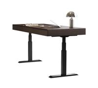 MENGLI-2024 Mesa de PC Escritorio eléctrico de Altura Ajustable, Escritorio pie y Sentado, estación Trabajo Moderna elevable for PC for Oficina en casa(S)