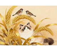 mengzhiyi 11Ct Punto De Cruz Kit Completo Esquemas Gato & Gorrión 40X50Cm Kit Punto De Cruz Con Hilos Y Tela Impresa Impreso Completo Principiantes