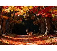 mengzhiyi Kits de Punto de Cruz Estampados, paisaje natural Patrone Cuadro Kit Punto de Cruz,11CT 40x50cm, Kit de Bordado para Bricolaje