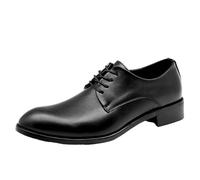 Mens Classic Lace Up Formal Shoes Spanish Leather Pointed Toe Slip Resistant Tuxedo Wedding Business Footwear(41 EU)