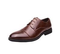 Mens Fashionable Leather Oxford Shoes Lace Up Pointed Toe Non Slip Dress Shoes Casual Office Work Daily Wear Comfortable Footwear(Brown,46 EU)