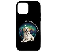 Mens & Womens All I Need Is Camping & Yellow Lab Dog Lover Carcasa para iPhone 12 mini