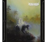 Mental Cruelty Zwielicht Explicit Lyrics (Vinyl) (Importación USA)