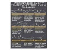 Mental Health Awareness Neuroscience Art Neurotransmitter Chart Canvas Print for Counseling Office Living Room(Unframed,08x12inch(20x30cm))