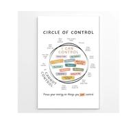 Mental Health Poster Circle of Control Chart for Anxiety What I Can and Cannot Control Growth Mindset Therapy Office Decor for Calm Classroom Canvas(Framed,08X12inch(20X30cm))