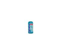 Mentos Gum Fresh Wintergreen 12 uds