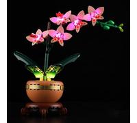 MENZAVA Luz Compatible con Lego 10343 Miniorquídea Botanical Collection - Kit de iluminación LED para el Modelo de Bloques de construcción (Modelos NO Incluido)