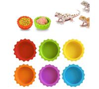 Meow&woof 6 tazas de alimentación de agua y alimentos de geco con cresta, plato de agua para reptiles, cuenco colorido para tanque de dragón barbudo, accesorios de terrario, suministros para tortuga,