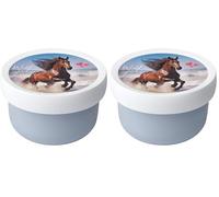 Mepal - Cajita para fruta Campus - Snack box para niños - Apto para lavavajillas y microondas - Sin BPA - 300 ml - Wild Horse (Paquete de 2)