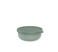 Mepal - Recipientes microondas Lumina - Recipientes alimentarios con tapa aptos para la nevera, el congelador, horno de vapor, microondas y lavavajillas - Recipiente de cocina - 750 ml - Nordic sage