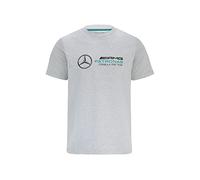 MERCEDES AMG PETRONAS Fórmula One Team - Colección oficial de Fórmula 1 Merchandise - Camiseta con logo grande, gris, M